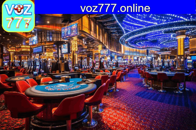 voz777 segurança e privacidade